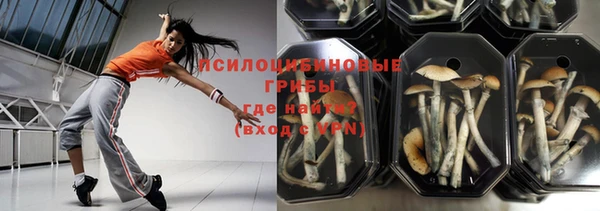 PSILOCYBIN Абдулино