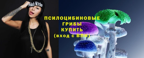 PSILOCYBIN Абдулино
