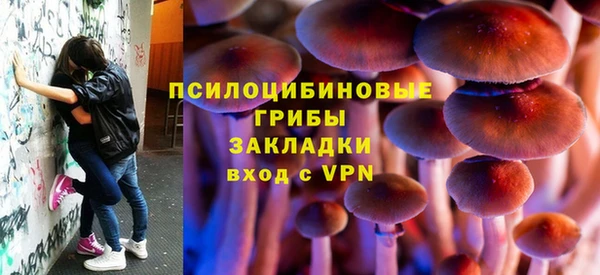 PSILOCYBIN Абдулино